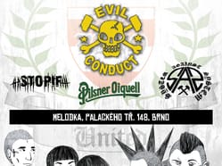 PUNKS and SKINS UNITED vol. 8