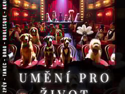 Umění pro život