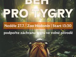 Běh pro tygry