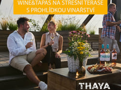 Wine & Tapas na střeše Vinařství THAYA