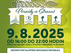 SOCIAL PERSEIDY 2025