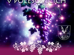 Večerní otevřené sklepy Polešovice