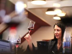 Kurz BASIC – Prague Wine Academy