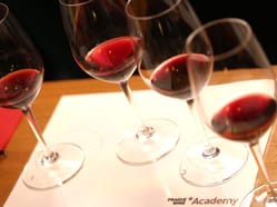 Kurz BASIC – Prague Wine Academy