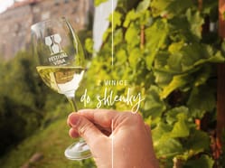 Wine tour – Túra po krumlovských viničkách