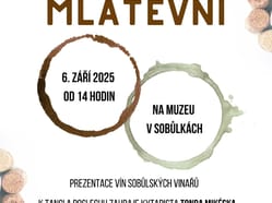 Vína na mlatevni v Sobůlkách
