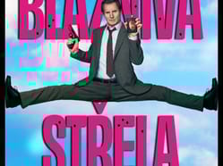 Bláznivá střela  (USA)  2D