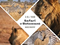 Safari v Botswaně