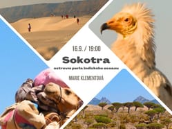 Sokotra: ostrovní perla Indického oceánu