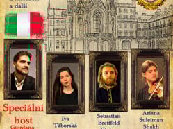 Viennese Tuning Times a Giordano Farina v Lednici