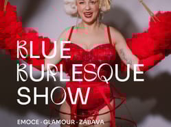 Blue Burlesque Show: DIVAS