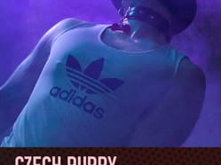 Czech Puppy 2026: Volební večer