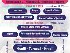 Festival Milion tónů pro demokracii v Opavě