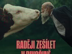 Raději zešílet v divočině