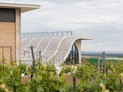 Stolování ve vinicích LAHOFER