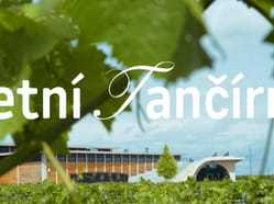 Letní tančírna ve Vinařství LAHOFER