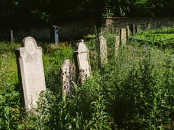 Den židovských památek v Moravském Krumlově