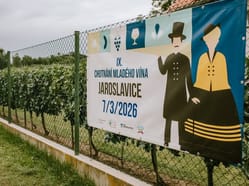 Chutnání mladého vína v Jaroslavicích