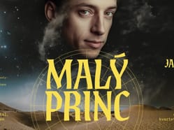 Malý Princ