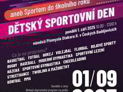 NSH leták první strana