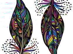 Jednodenní kurz zentangle - čárománie