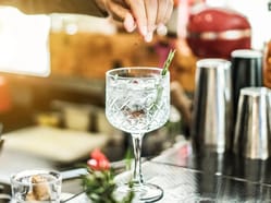 Gin&Tonic - řízená degustace s odborným výkladem