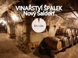 Degustace Vinařství Špalek