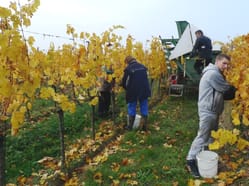 Školení – práce a činnosti ve Vinici