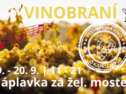 VINOBRANÍ na Náplavce