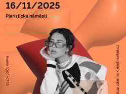 Ceske Budejovice 14 16 11 2025 V1 poster online