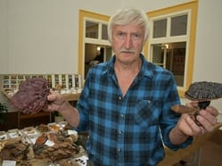 Mykolog Jiří Šťáva - přednáška o léčivé síle hub a bylin