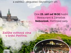 Art of Wine 2025
