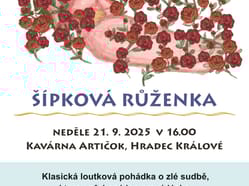 Šípková Růženka