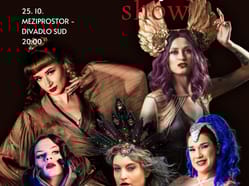 Budweis Burlesque Show