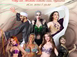 Festival Habibi Show