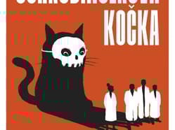 Divadlo Tří: Schrödingerova kočka