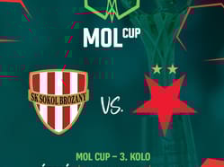 SK Sokol Brozany - SK Slavia Praha | sektor hostů