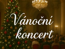 Vánoční koncert v Kaiserštejnském paláci