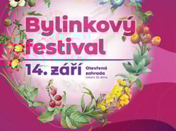 Bylinkový festival 2025