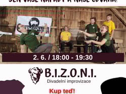 B.I.Z.O.N.I. / BIZONI - Improvizované divadelní představení