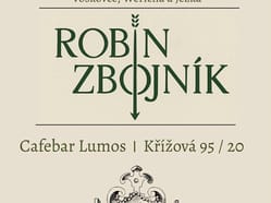Robin Zbojník