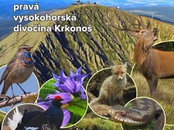 Krkonoše – Živá pokladnice přírody