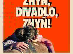 Zhyň