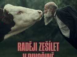 Raději zešílet v divočině | Kyjograf