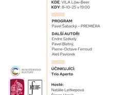 Malý koncert komorní hudby