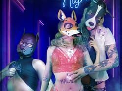 Anthropomorphic Night Vol. 2