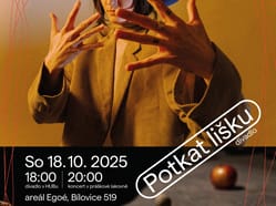 SJU a Potkat Lišku na Poli designu