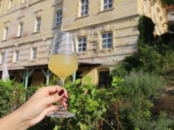 Vinobraní v Louckém klášteře