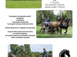 Sraz vozatajů a přátel koní