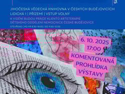 09 10 ARTETERAPIE NEMOCNICE CB doplnena prohlidka